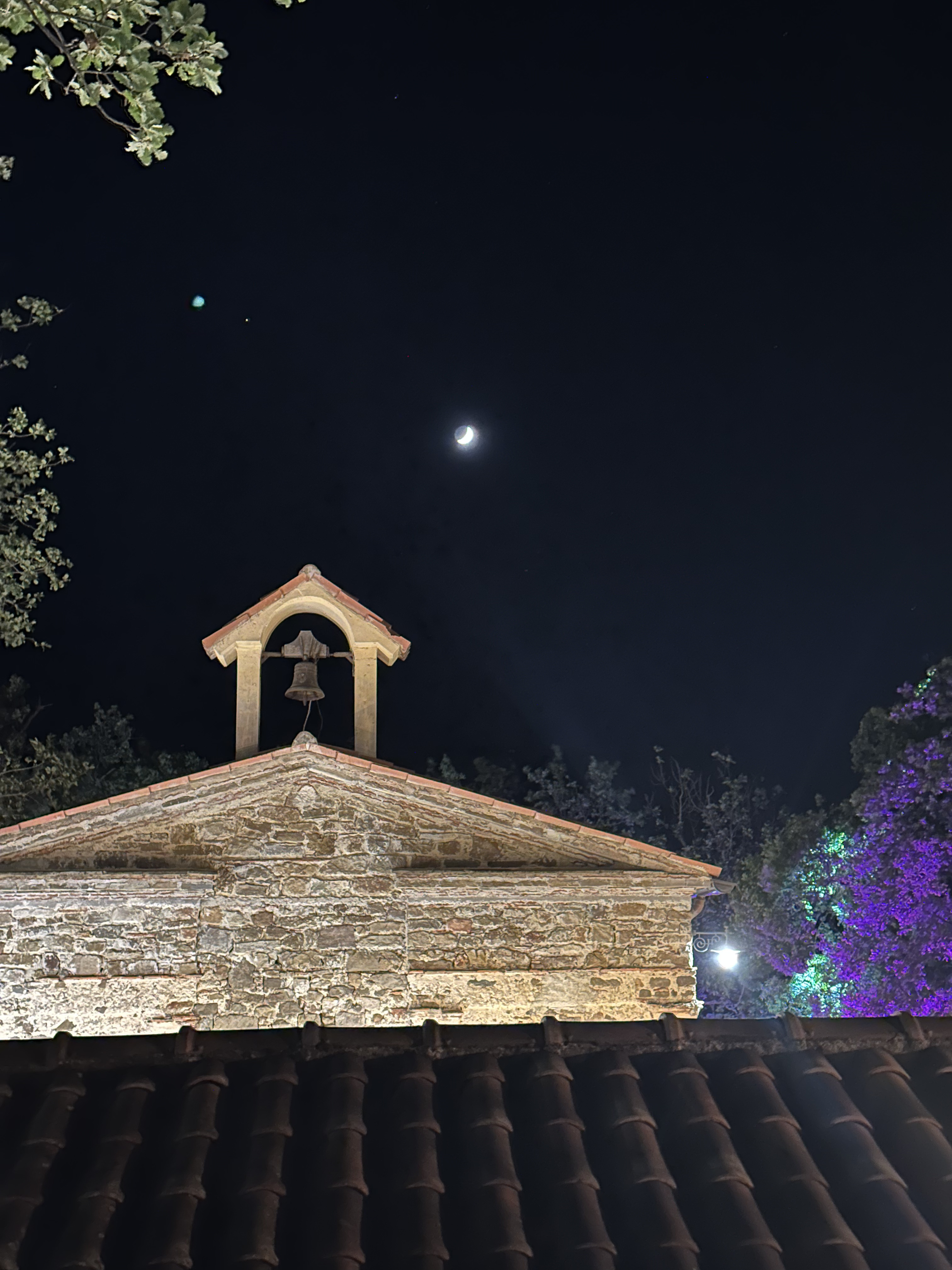 Foto principale della festa